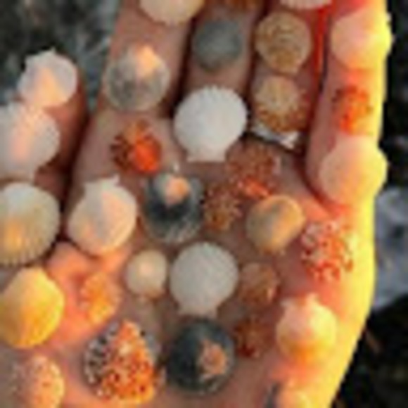 Meet your Posher, Stephanie - Picture 1 of 1